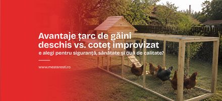 Avantaje țarc de găini deschis vs. coteț improvizat