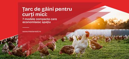 Țarc de găini pentru curți mici: 7 modele compacte care economisesc spațiu Țarc de găini pentru curți mici: 7 modele compacte care economisesc spațiu
