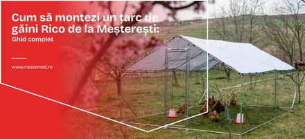 Cum să montezi un țarc de găini Rico de la Meșterești: Ghid complet Cum să montezi un țarc de găini Rico de la Meșterești: Ghid complet
