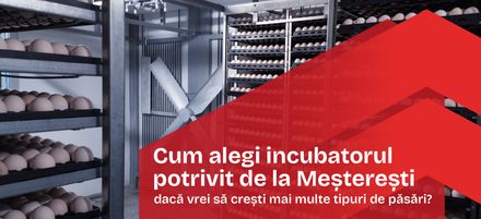 Cum alegi incubatorul potrivit de la Meșterești dacă vrei să crești mai multe tipuri de păsări?