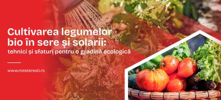 Cultivarea legumelor bio în sere și solarii: tehnici și sfaturi pentru o gradină ecologică Cultivarea legumelor bio în sere și solarii: tehnici și sfaturi pentru o gradină ecologică