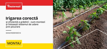Irigarea corectă și eficientă a grădinii - cum montezi și folosești sistemul de udare prin picurare Irigarea corectă și eficientă a grădinii - cum montezi și folosești sistemul de udare prin picurare
