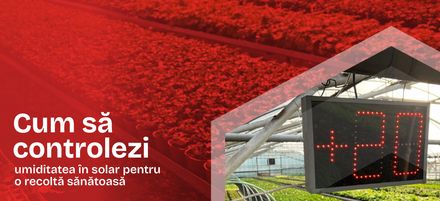 Cum controlezi corect umiditatea în solar pentru o recoltă sănătoasă Cum controlezi corect umiditatea în solar pentru o recoltă sănătoasă