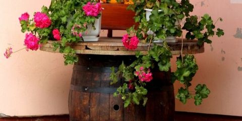 butoi decorativ pentru terasa butoi decorativ pentru terasa