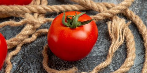 Tomate Ghittia Tomate Ghittia