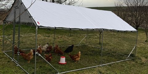 image 1743488940 EacOdWjtk2nTVChL4koeJVsNFbZCbUCCSQoCITKd.jpg image 1743488940 EacOdWjtk2nTVChL4koeJVsNFbZCbUCCSQoCITKd.jpg