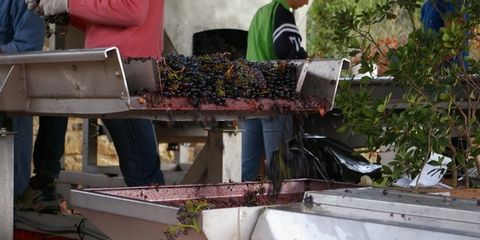 image 1756881575 Y0olMxxoIEC0l0Ifj9VVIXunx8qIQXH7SHOdhNrY.jpg image 1756881575 Y0olMxxoIEC0l0Ifj9VVIXunx8qIQXH7SHOdhNrY.jpg