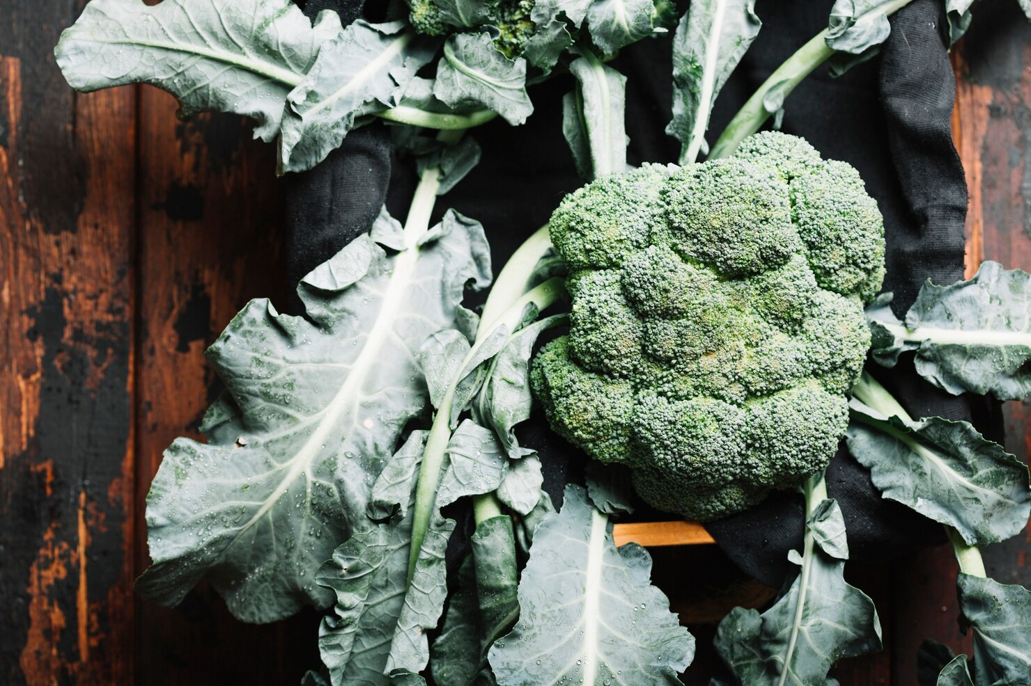 Broccoli