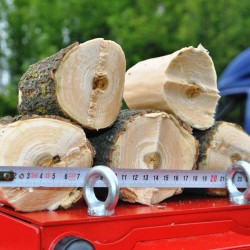 Tocător de crengi Celtis 4 metri cubi/oră-4
