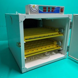 Incubator ouă profesional Campine - 110 ouă-2