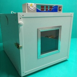 Incubator ouă profesional Campine - 110 ouă-4