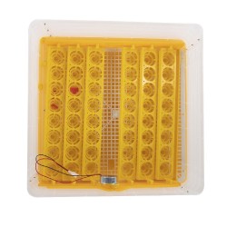 Incubator ouă automat Micul fermier - 48 ouă-3