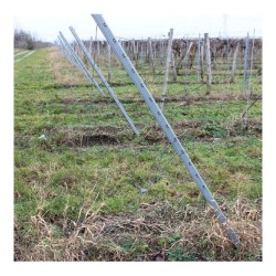 Șpalier metalic de capăt Ethan pentru vița de vie 5x4,2x270 cm-2
