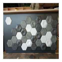 Panou decorativ ipsos 3D Evan model hexagon 2 - 0,04 mp-3