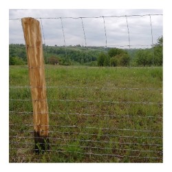 Plasă gard înnodată Rayna 1,6 mm, 1x50 m - 11 sârme orizontale-3