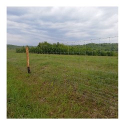 Plasă gard înnodată Rayna 1,6 mm, 1x50 m - 11 sârme orizontale-5