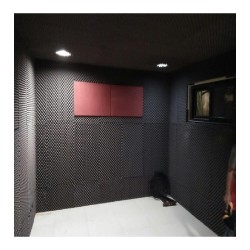 Burete acustic & izolator fonic pentru studio Zion, 100x100x3 cm-2