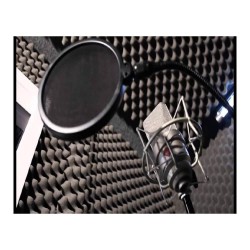 Burete acustic & izolator fonic pentru studio Zion, 200x100x3 cm-7