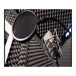 Burete acustic & izolator fonic pentru studio Zion, 50x50x5 cm-5