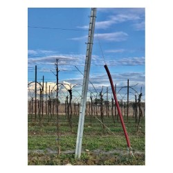 Șpalieri metalici galvanizați Jagan fruntași 4,8 x 5,8 x 260 cm-3