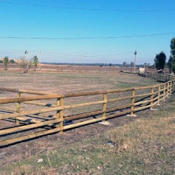 Gard lemn din bârne pentru manejuri cai din pin tratat 1,5 m-3
