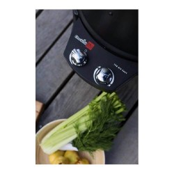 Afumătoare pe gaz cu grill și cuptor Char-Broil-14