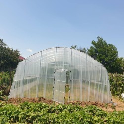 Solar de grădină Floroplant Transparentă 120 mp 3,2 m 6 x 20 m Aditivată Profesional