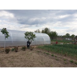 Solar agricol profesional XXL Cortis© 6x10 m-8