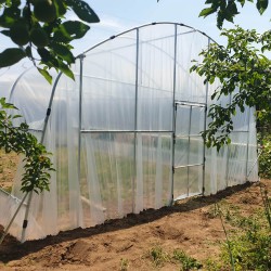 Solar de grădină Floroplant Transparentă 84 mp 3,2 m 6 x 14 m Aditivată Profesional