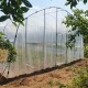 Solar agricol profesional XXL Cortis© 6x14 m