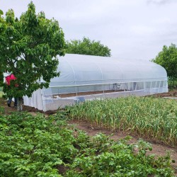 Solar agricol profesional XXL Cortis© 6x16 m-4