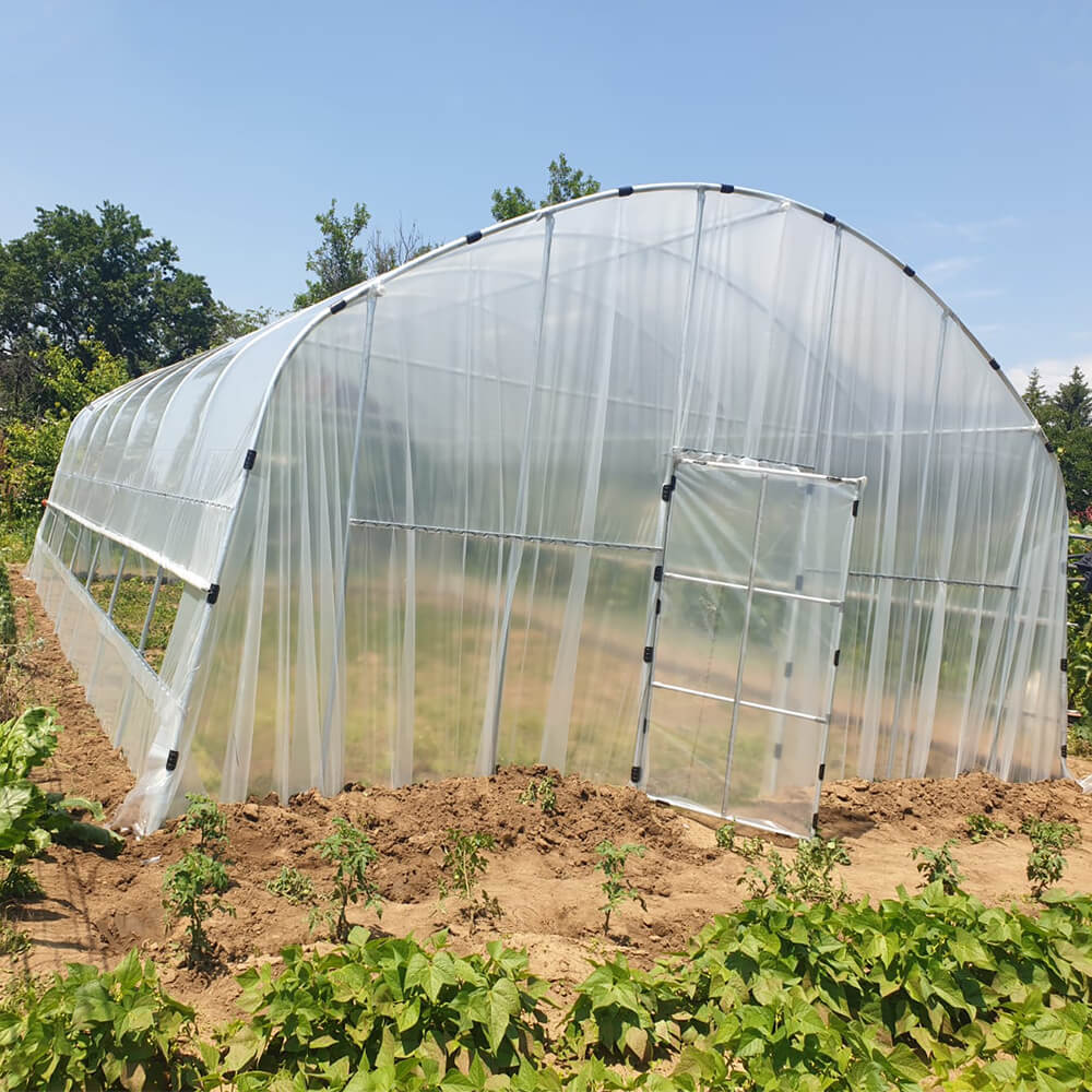 Solar agricol profesional XXL Cortis© 6x24 m