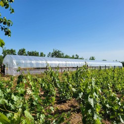 Solar agricol profesional XXL Cortis© 6x50 m-3