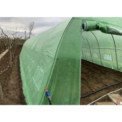 Solar grădină profesional Cortis© 4x8 m + Cadou Vermicompost-9