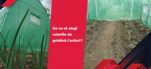 De ce să alegi solariile de grădină Cortis©?