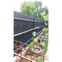 Șipcă lemn rindeluită Lemro 200x9x1,9 cm nevopsită-5