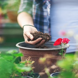 Vermicompost / biohumus granulat - îngrășământ 100% natural, 10 litri-9