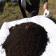 Vermicompost / biohumus granulat - îngrășământ 100% natural, 10 litri