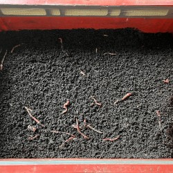 Vermicompost / biohumus granulat - îngrășământ 100% natural, 10 litri-5