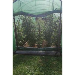 Solar grădină profesional Cortis© 3x12 m + Cadou Vermicompost + Ață + Kit irigare complet-8