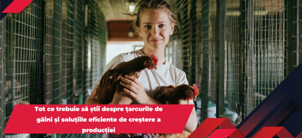Tot ce trebuie să știi despre țarcurile de găini și soluțiile eficiente de creștere a producției