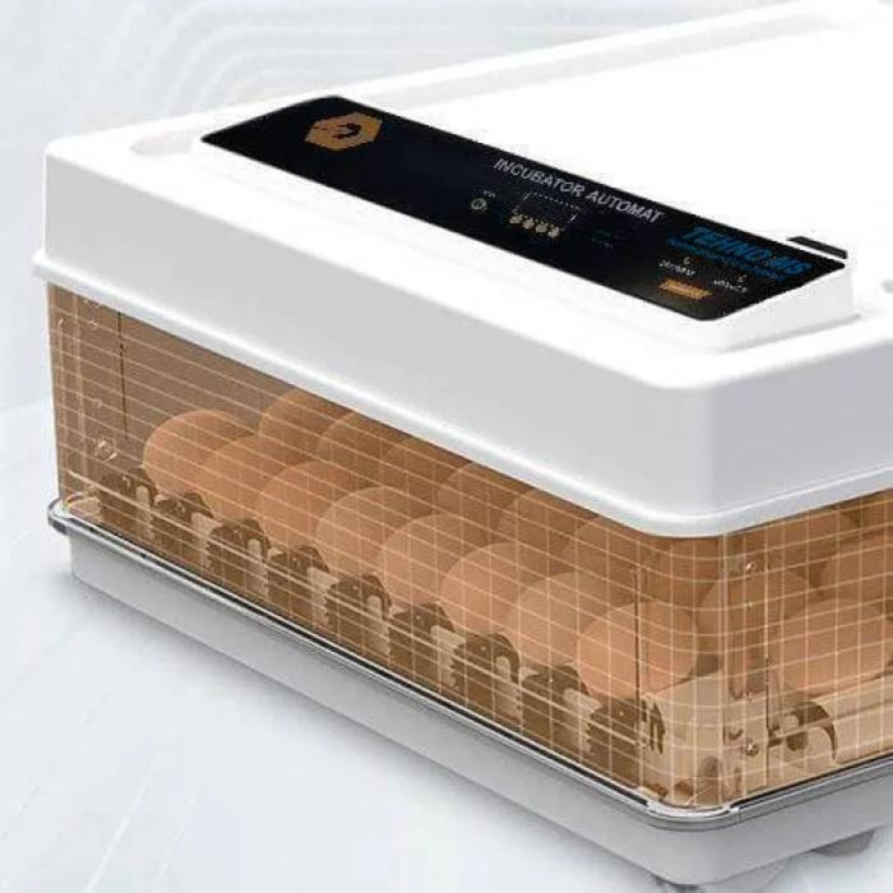 Incubator ouă automat, 130 ouă