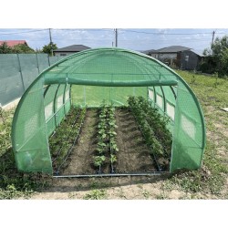 Solar grădină profesional Cortis© 3x8 m + Cadou Ață palisare și 250 clipsuri-11