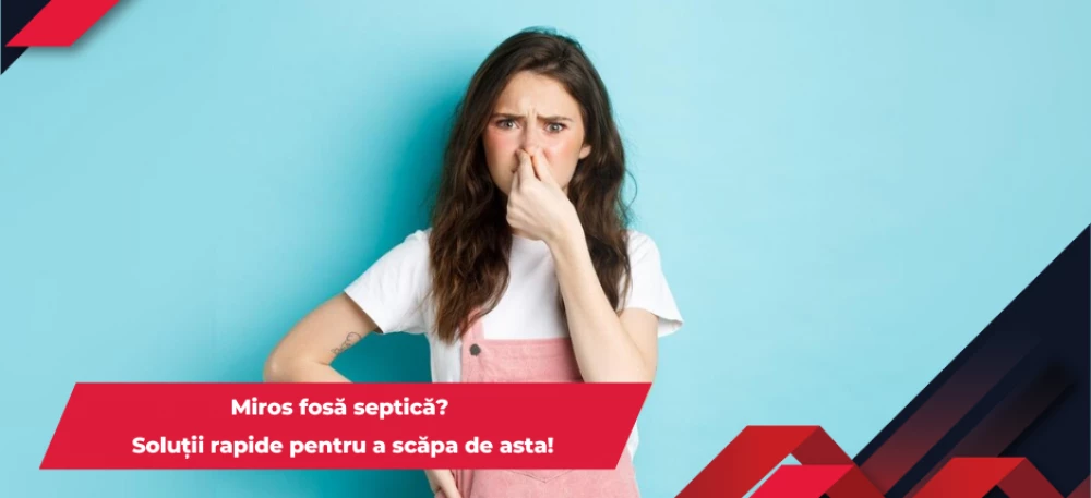 Articol simplu