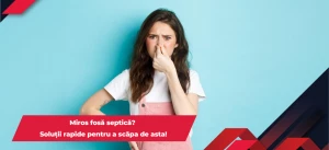 Articol simplu
