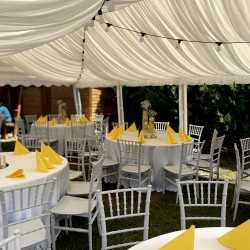 Cort evenimente 3x6 m Delta profesional cu structură metalică 38 mm, prelată UV 500 g / mp-11