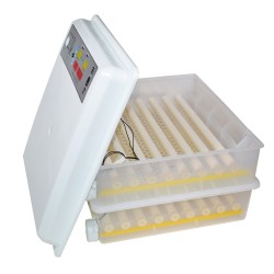 Incubator ouă automat Paco, 120 ouă-3