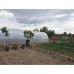 Solar de grădină cu folie albă Biotera 4x8 m-8