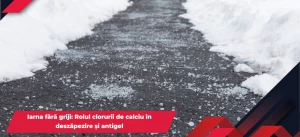 Articol simplu