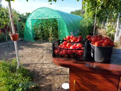 Solar grădină profesional Cortis© 4x10 m + Cadou Ață palisare și 250 clipsuri-15